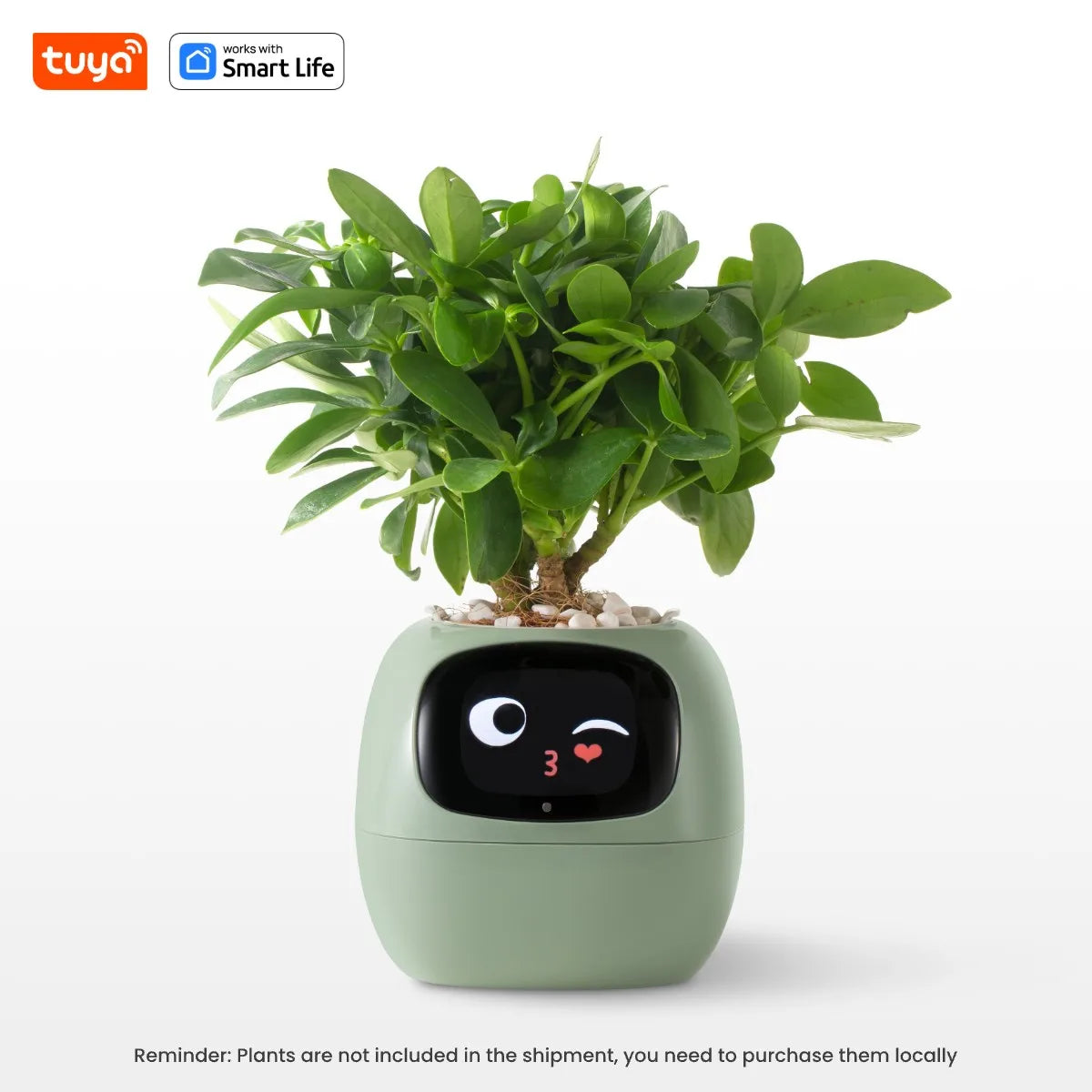 Smart Planter – AI Interactive Pot with 49+ Expressions & 7 Smart Sensors